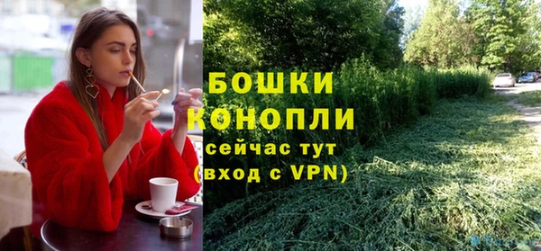 спиды Михайлов