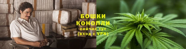 спиды Михайлов