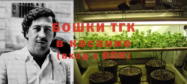 спиды Михайлов