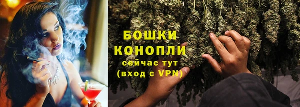 спиды Михайлов