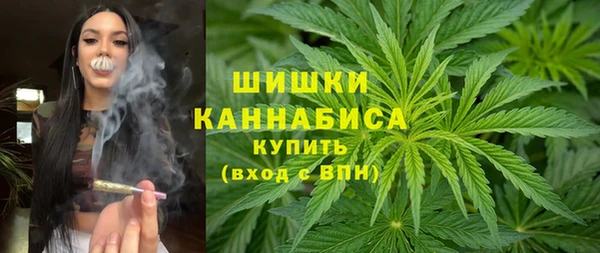 спиды Михайлов