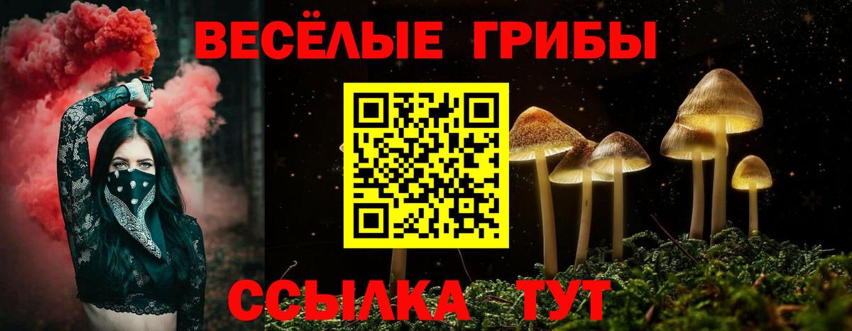Псилоцибиновые грибы прущие грибы Балаково