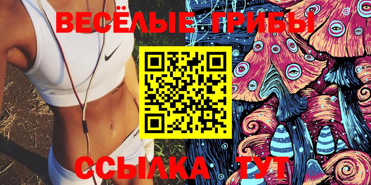 Балаково  Псилоцибиновые грибы Magic Shrooms  Вход с VPN 
